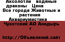 Аксолотли / водяные драконы › Цена ­ 500 - Все города Животные и растения » Аквариумистика   . Чукотский АО,Анадырь г.